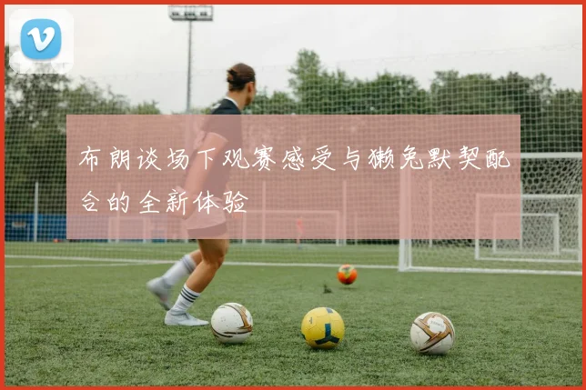 布朗谈场下观赛感受与獭兔默契配合的全新体验